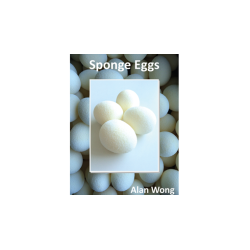 Sponge Eggs (4pk.) by Alan Wong - Trick