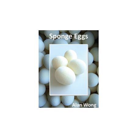 Sponge Eggs (4pk.) by Alan Wong - Trick