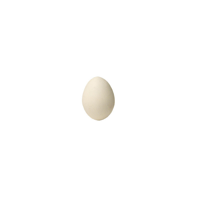 Wooden Egg by Bazar de Magia - Trick