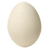 Wooden Egg by Bazar de Magia - Trick