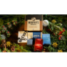 Wizardry Holiday Gift Bundle
