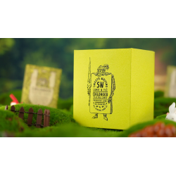 Childhood Playing Cards (Half Brick Standard  + Gilded ) by TCC & Lunzi