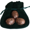 Copper Shells (Antique Copper)